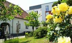Gelbe Rosen, Garten und Haus im Hintergrund | © Susanne Wagner